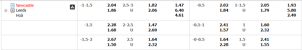 newcastle-vs-leeds-22h00-ngay-31-12-2022-2