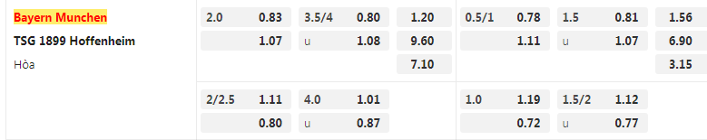 Tỷ lệ kèo Bayern vs Hoffenheim